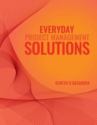 bokomslag Everyday Project Management Solutions