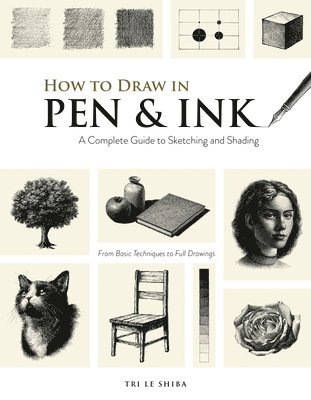 How to Draw in Pen & Ink: A Complete Guide to Sketching and Shading 1