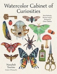 bokomslag Watercolor Cabinet of Curiosities: Paint Perfectly Peculiar Insects, Antiques and Other Oddities