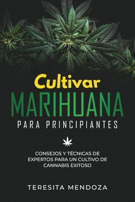 Cultivar Marihuana para Principiantes 1