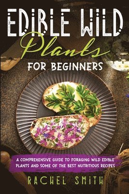 Edible Wild Plants for Beginners 1