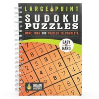 bokomslag Large Print Sudoku Puzzles Orange