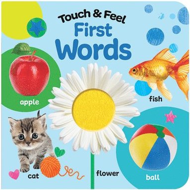 bokomslag Touch & Feel First Words