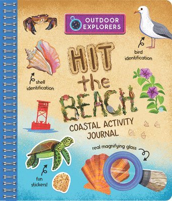 bokomslag Outdoor Explorers: Hit the Beach!