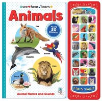 bokomslag Animals (See Hear Learn)