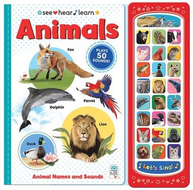 bokomslag Animals (See Hear Learn)