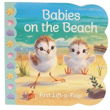 Ginger Swift, Cottage Door Press - Babies on the Beach, Kartonnage