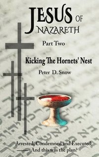 bokomslag Jesus of Nazareth: Kicking the Hornets' Nest