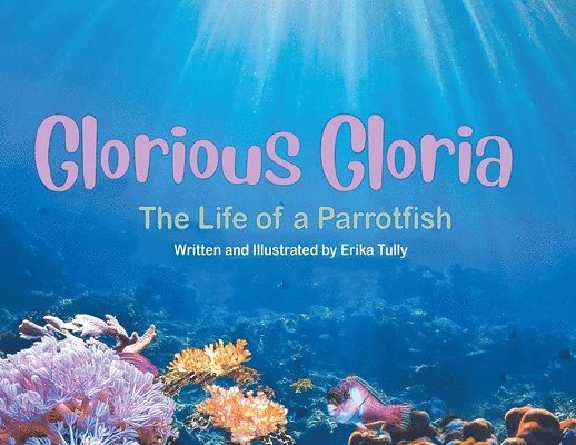 Glorious Gloria 1