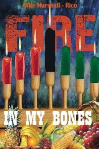 bokomslag Fire In My Bones