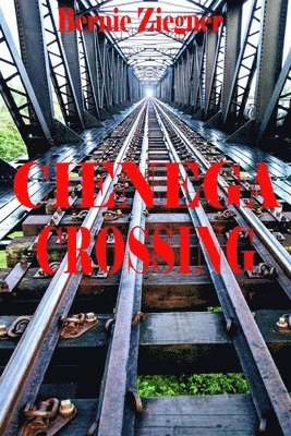 bokomslag Cienega Crossing