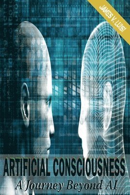 bokomslag Artificial Consciousness