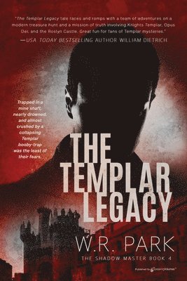 bokomslag Templar Legacy