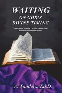bokomslag Waiting on God's Divine Timing