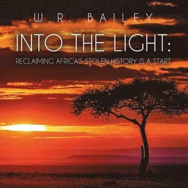 bokomslag Into the Light: Reclaiming Africa's Stolen History Is a Start