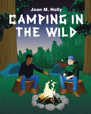 bokomslag Camping in the Wild