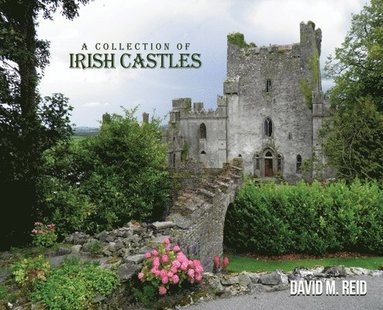 bokomslag A Collection of Irish Castles