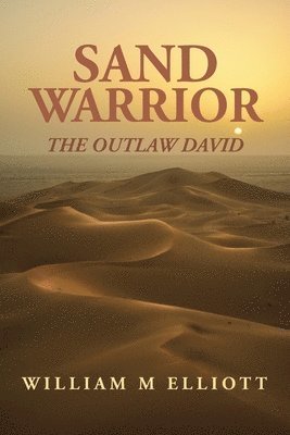 bokomslag Sand Warrior
