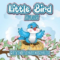 bokomslag Little Bird: Explores