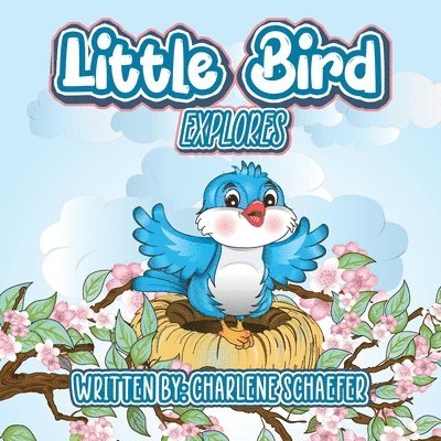 Little Bird: Explores 1