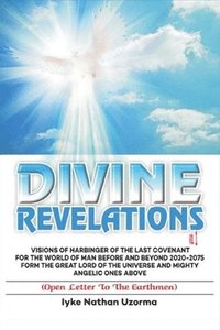 bokomslag Divine Revelation