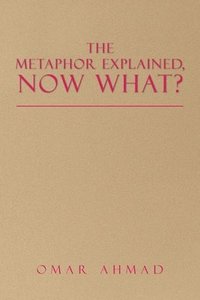 bokomslag Metaphor Explained, Now What?