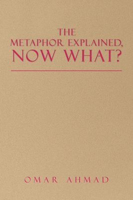 bokomslag Metaphor Explained, Now What?
