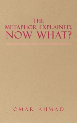 bokomslag Metaphor Explained, Now What?