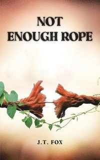 bokomslag Not Enough Rope