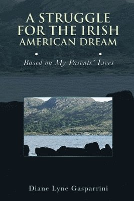 bokomslag A Struggle for the Irish American Dream