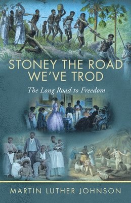 bokomslag Stoney The Road We've Trod