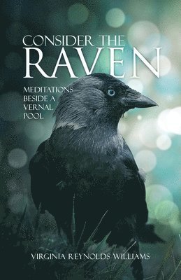 bokomslag Consider The Raven