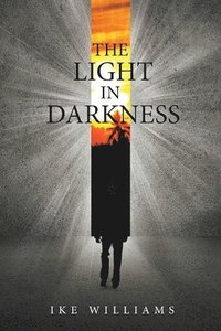 bokomslag The Light in Darkness