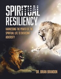 bokomslag Spiritual Resiliency