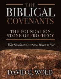 bokomslag The Biblical Covenants