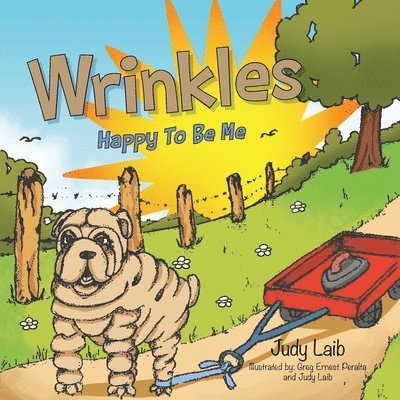 Wrinkles 1