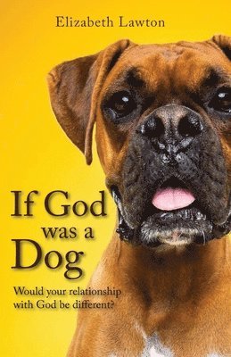 bokomslag If God Was a Dog