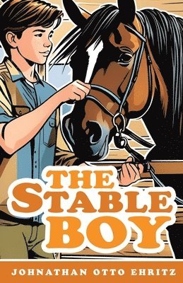 bokomslag The Stable Boy