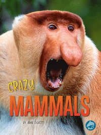 bokomslag Crazy Mammals
