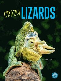 bokomslag Crazy Lizards