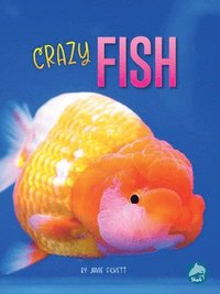 bokomslag Crazy Fish