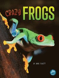 bokomslag Crazy Frogs