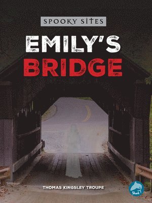 Emily's Bridge 1