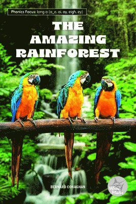 bokomslag The Amazing Rainforest