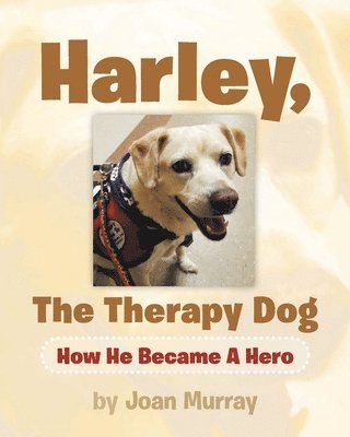 Harley, the Therapy Dog 1