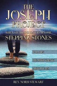 bokomslag Joseph Project