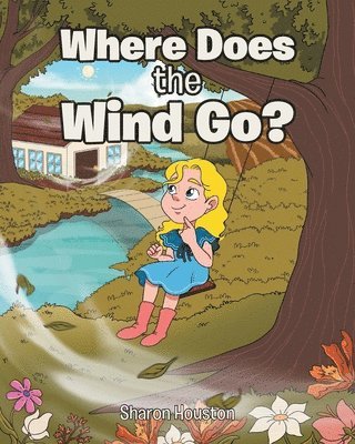 Where Does the Wind Go? 1
