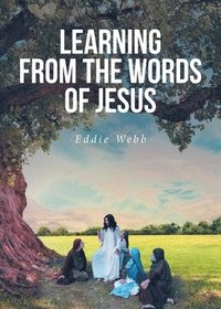 bokomslag Learning from the Words of Jesus