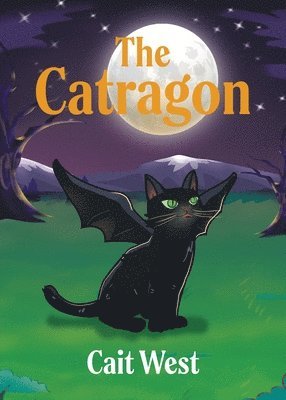 bokomslag Catragon