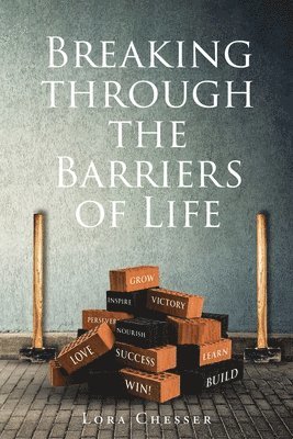 bokomslag Breaking through the Barriers of Life